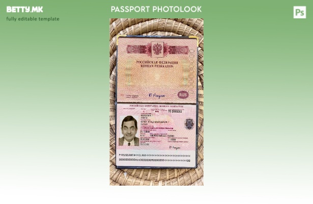 Модерен стил Шаблон за изглед на фото пасош за патување во Русија